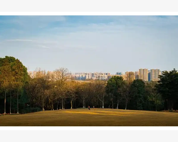 河北华狮会计师事务所业务范围与专业服务全览