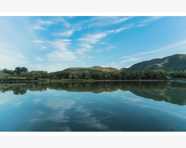 脾胃虚寒导致睡眠不佳的中医调理方法